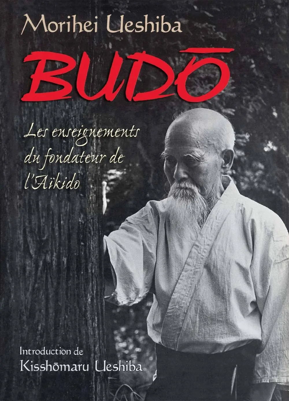 Budo Budo