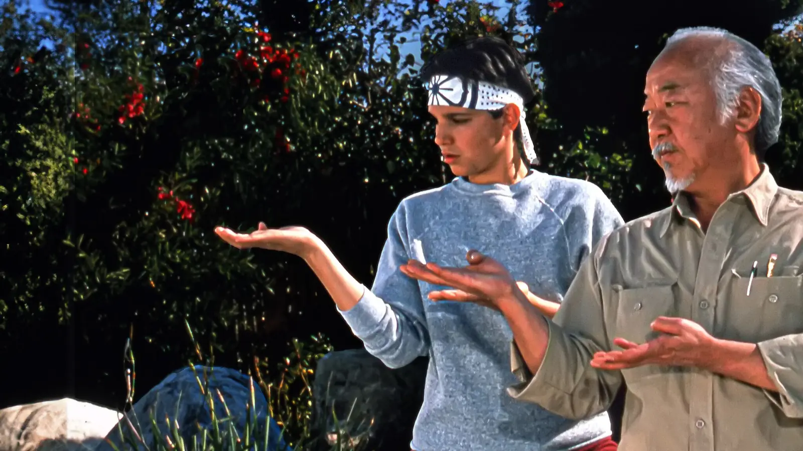 Scene du film Karate Kid 1984