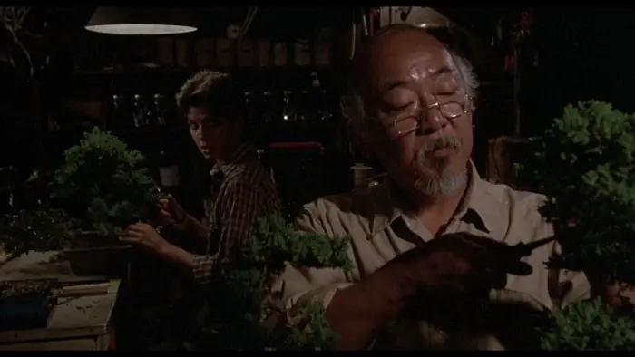Mr Miyagi cultivant un bonsai, scene du film Karate Kid